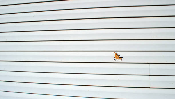 Trusted San Bernardino, CA Siding Installation & Repair Experts